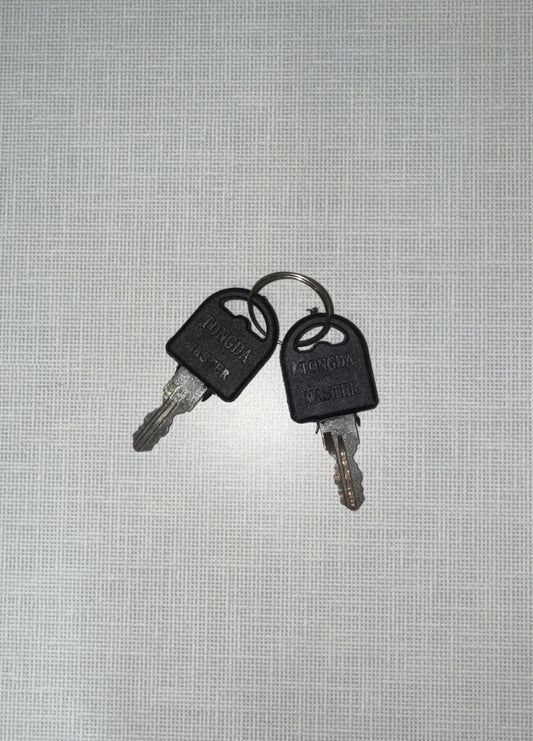 AromaLink Replacement Key